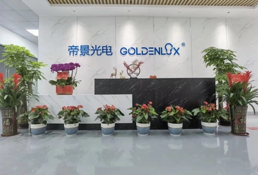 Κίνα Shenzhen Goldenlux Co., Ltd. Σχεδιάγραμμα επιχείρησης